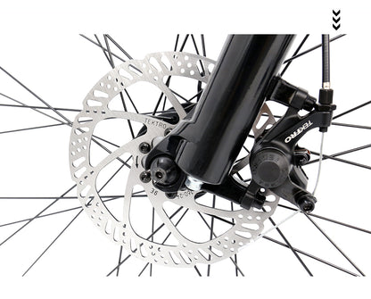 Fat tire 26 inch ebike-model: A6AH26F - Fedeli Ebikes