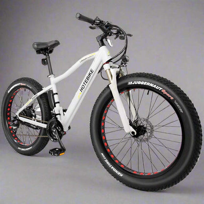 Fat tire 26 inch ebike-model: A6AH26F - Fedeli Ebikes