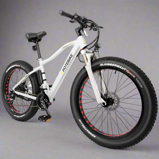 Fat tire 26 inch ebike-model: A6AH26F - Fedeli Ebikes