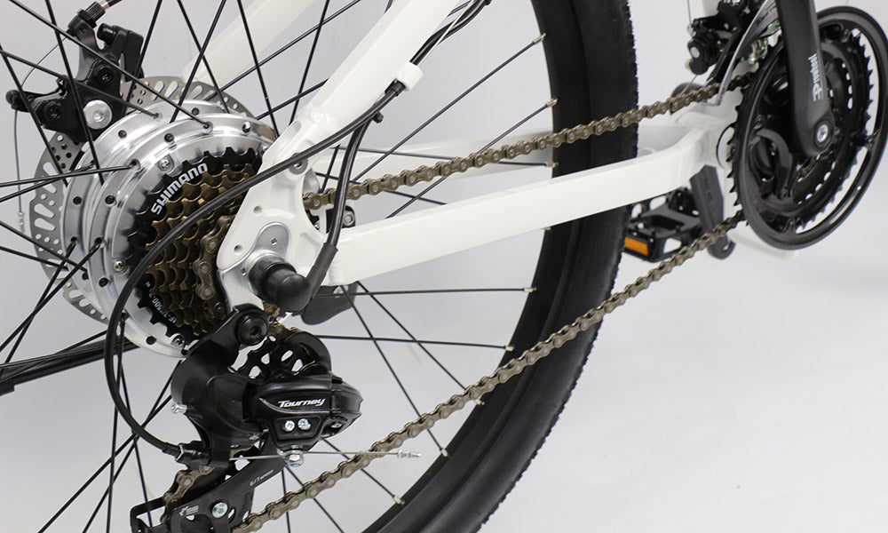 Unleash Freedom on the Go with the Model G4 26-inch Folding Electric Bike – Compact, Powerful, and Stylish