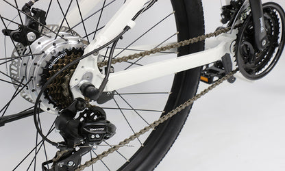Unleash Freedom on the Go with the Model G4 26-inch Folding Electric Bike – Compact, Powerful, and Stylish