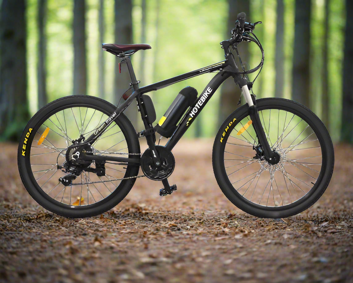 Mountain E-bike power, style, and efficiency in One Ride, rear hub motor-model: A6AB26 - Fedeli Ebikes