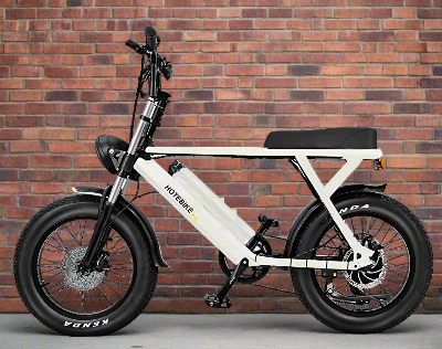 Powerful Performance Adapt to All terrain Fat tyre road ebike 20 inch-Model S731 - Fedeli Ebikes