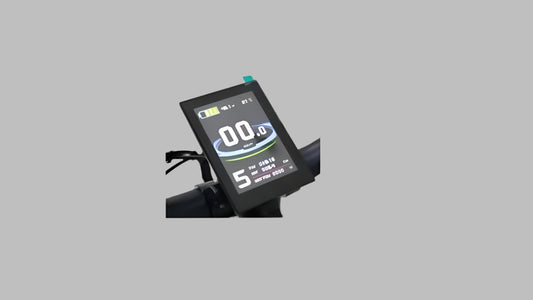 LCD8 color display - Fedeli Ebikes