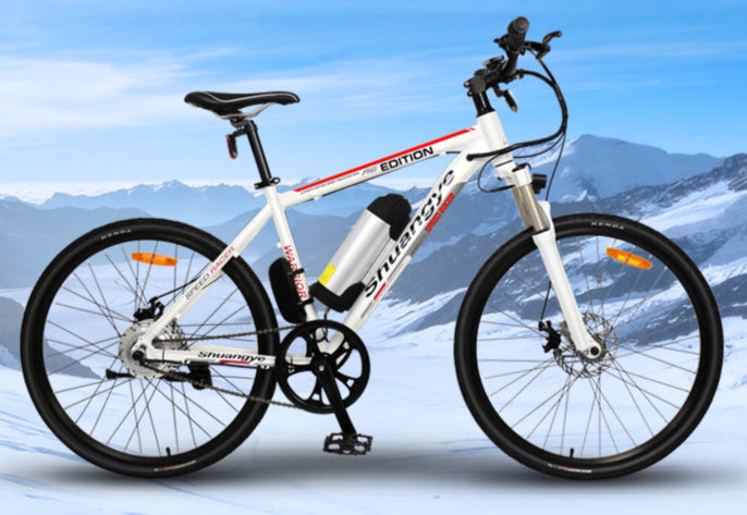 Mountain E-bike power, style, and efficiency in One Ride, rear hub motor-model: A6AB26 - Fedeli Ebikes