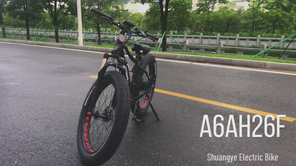 Fat tire 26 inch  ebike-model: A6AH26F