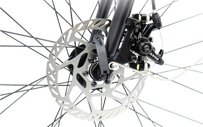 Urban Comfort, Smart Power – Model A3AL28 Step-Through E-Bike